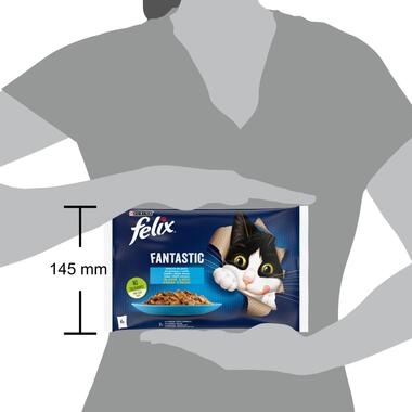 PURINA® FELIX® Fantastic, със сьомга/риба камбалав желе, смесен пакет мокра храна за котки