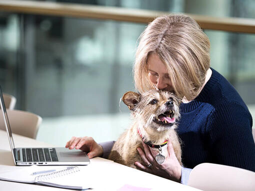 жена и куче на лаптоп
