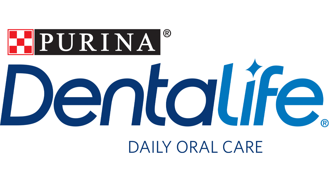 Dentalife