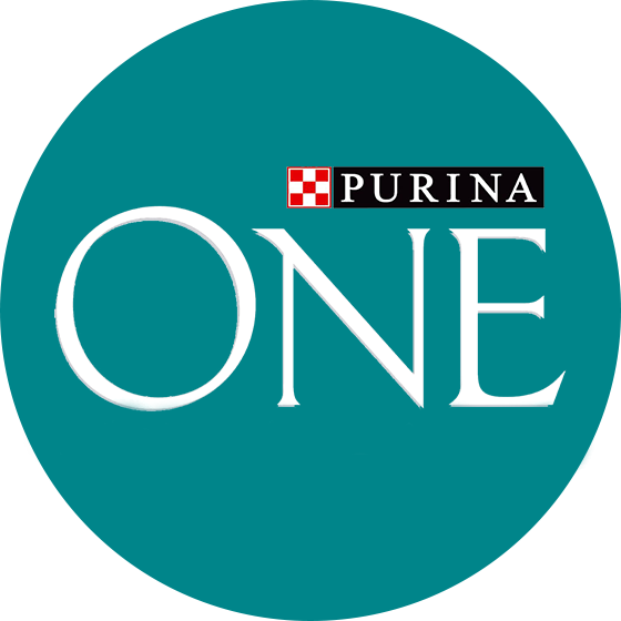 PURINA ONE