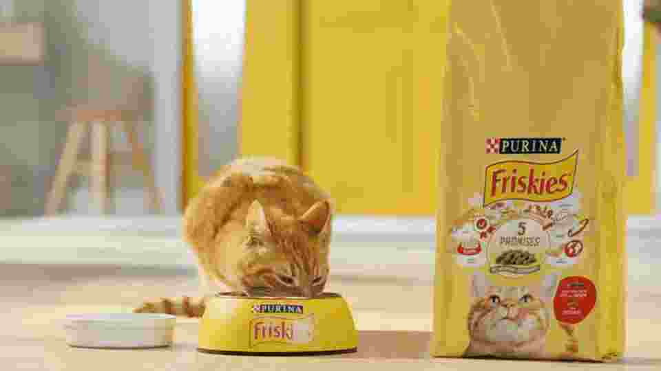 Страница със списък на Friskies