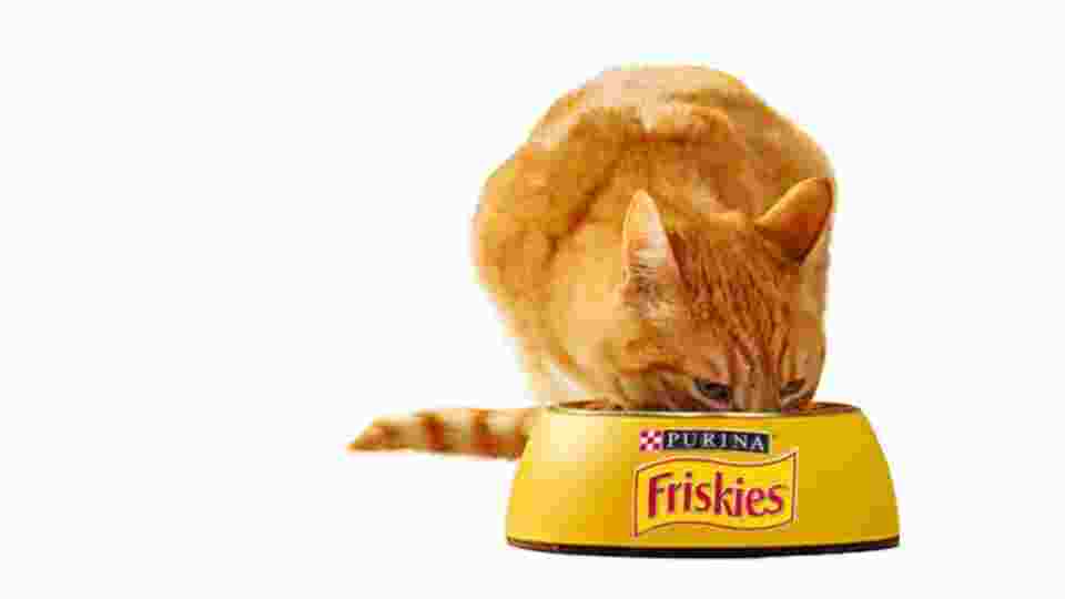 Страница със списък на Friskies