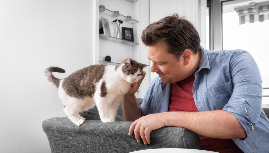 Мъж гали лицето на котката си, докато тя стои на облегалката на дивана