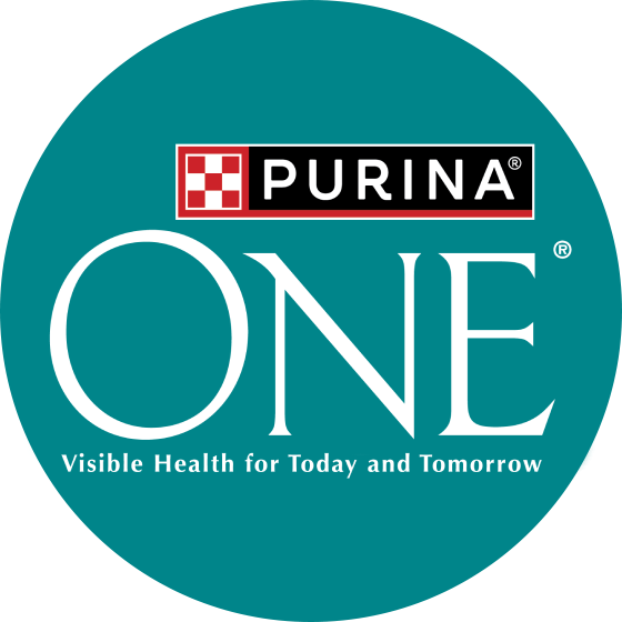 PURINA ONE Храна за котки 