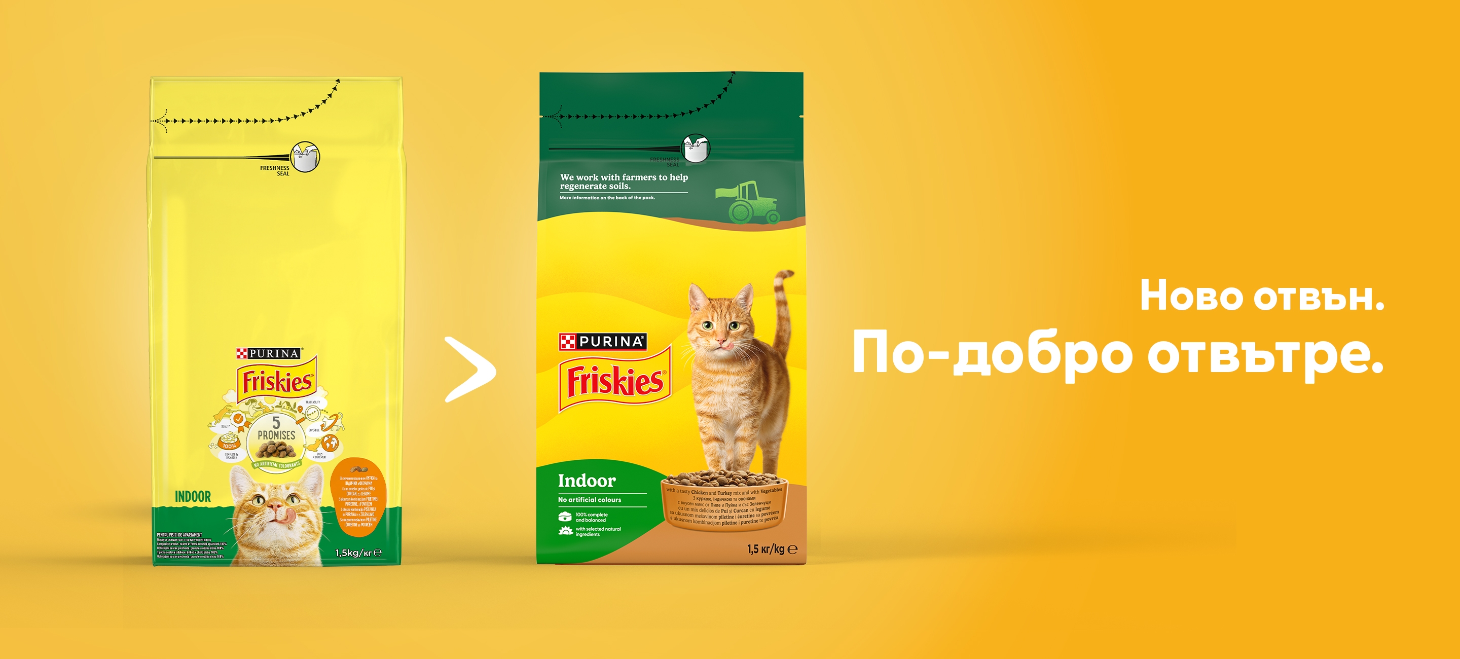 Cat Transition Pack