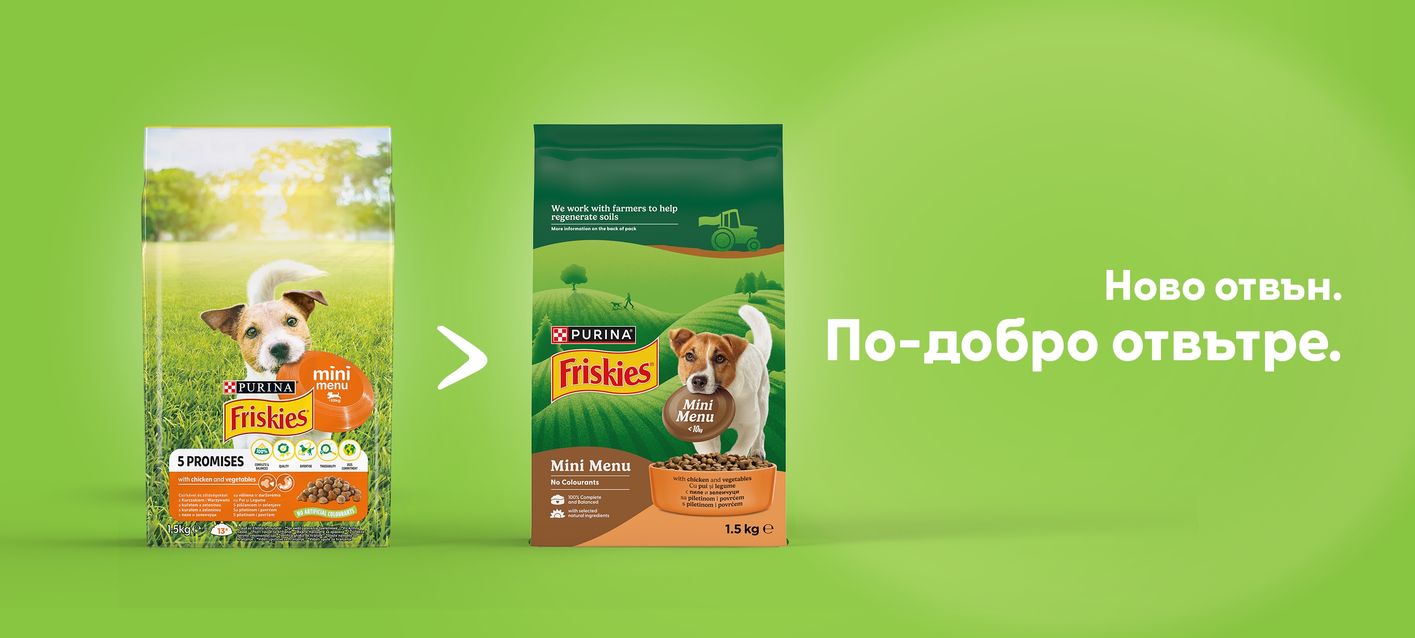 Dog Transition Pack