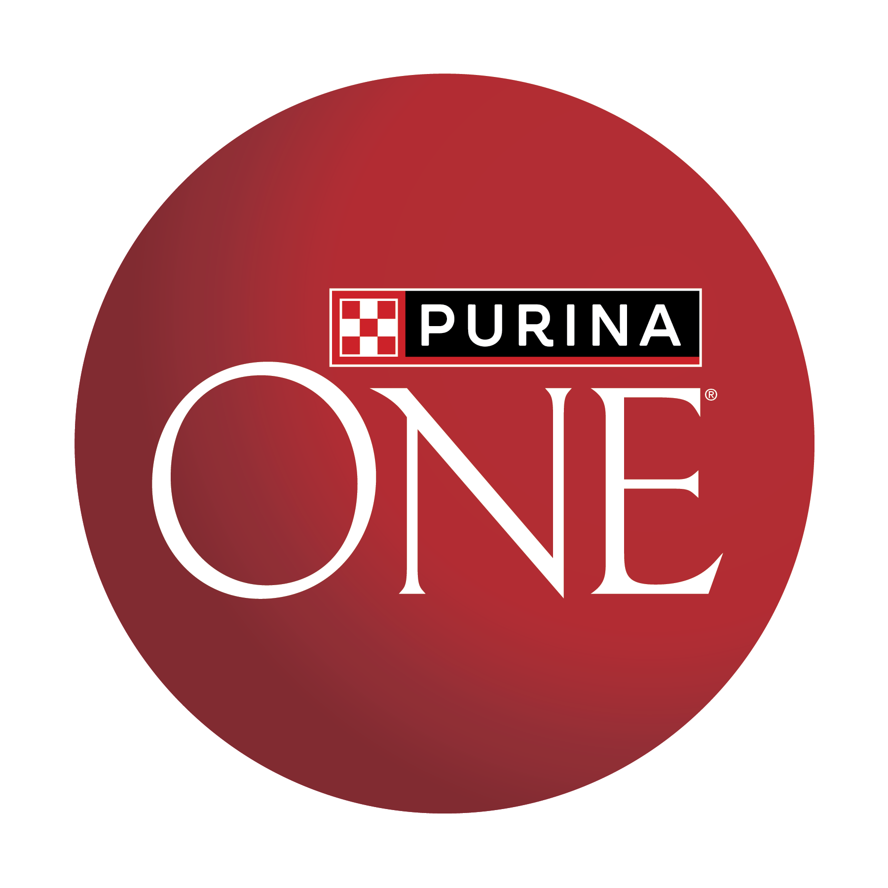 Purina ONE Dog