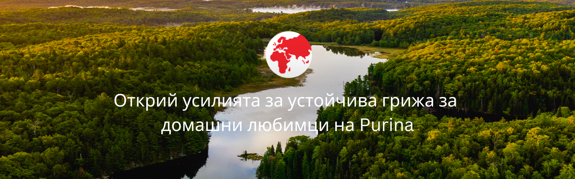 Усилия за устойчивост
