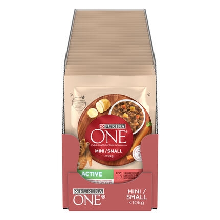 Purina One Active multipack 