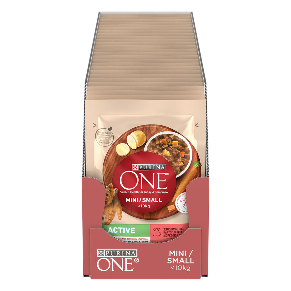 Purina One Active multipack