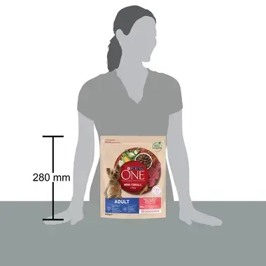 PURINA ONE MINI Adult, с говеждо месо и ориз, суха храна за кучета
