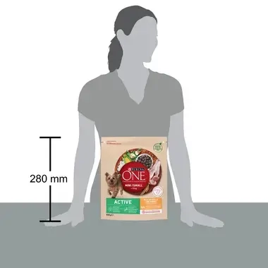 PURINA ONE MINI Active, с пилешко месо и ориз, суха храна за кучета
