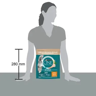 Purina ONE Adult, с пилешко месо и пълнозърнести ядки, суха храна за котки