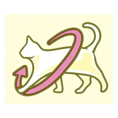 PURINA®FRISKIES® за малки котенца с Пиле и Пуйка,суха храна, 10kg