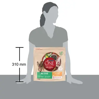 Purina One Active 1,5kg