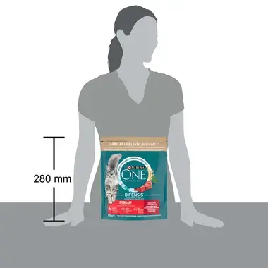 Purina One Sterile Cat 800 g