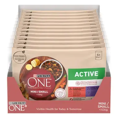 Purina One Active multipack