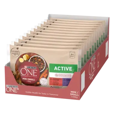 Purina One Active multipack