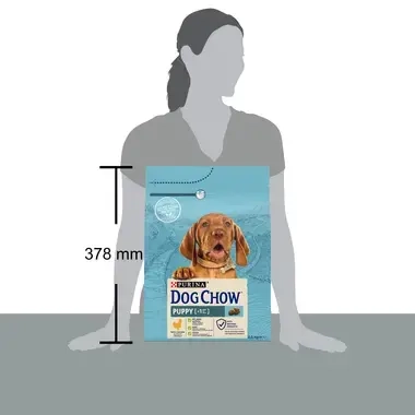 Purina Dog Chow 2,5kg