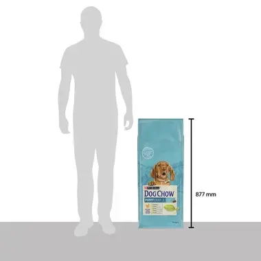 Purina Dog Chow 14kg