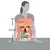 Purina Dog Chow 2,5kg