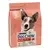 Purina Dog Chow 2,5kg