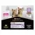 purina pro plan kitten