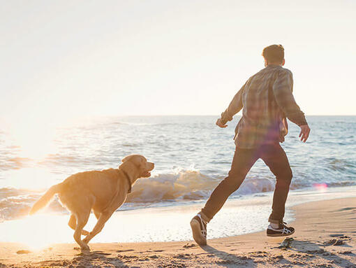 Мъж и куче тичат по плажа