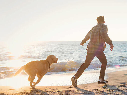Мъж и куче тичат по плажа