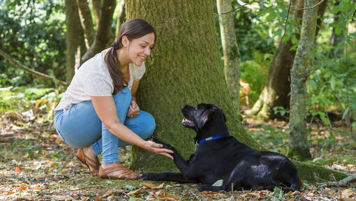 Жена, приклекнала с куче близо до дърво