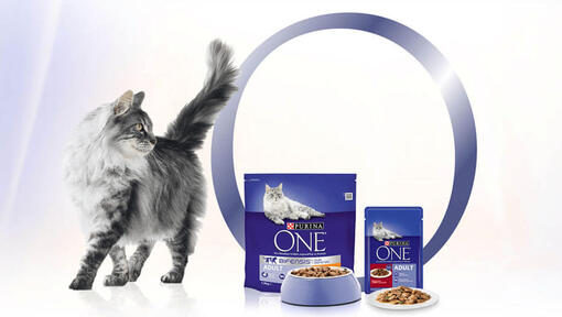Purina One иновация
