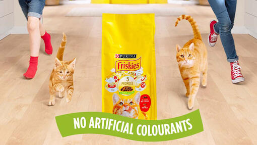 Храна за котки Friskies