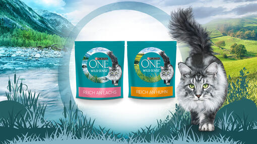 Purina ONE - Диво чувство