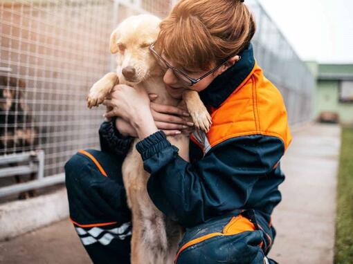 woman hugging a puppy