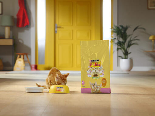Жизнен етап на котка Friskies