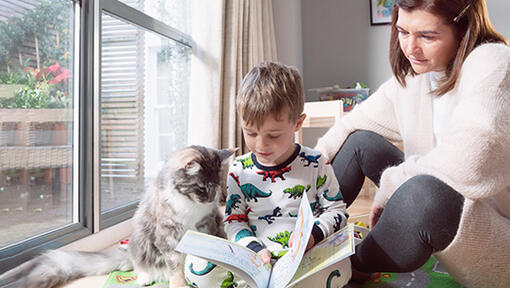 Момче с котка чете книга