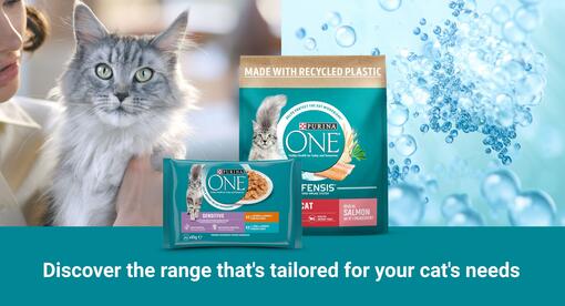 Purina ONE cat food