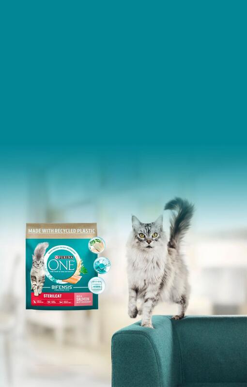 Purina ONE котка GOAT