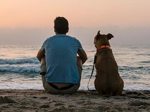 Man and his dog sitting on a beach