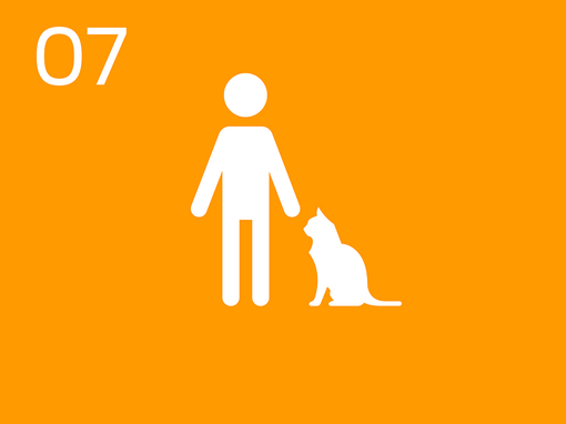 07 Инфографика на човек с котка