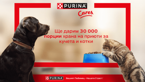 кауза за приюти за животни
