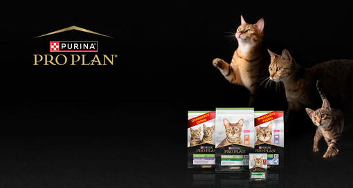 Purina Pro plan sterilized