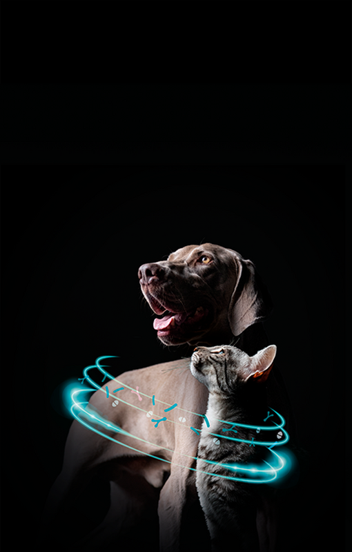 Purina Pro Plan Experr Care Hero image