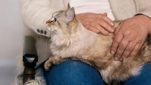 Признаци, че раждането наближава