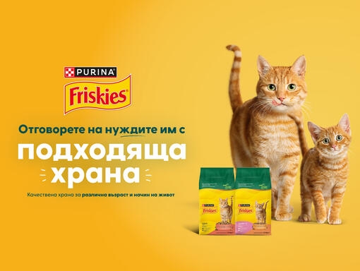 friskies cat