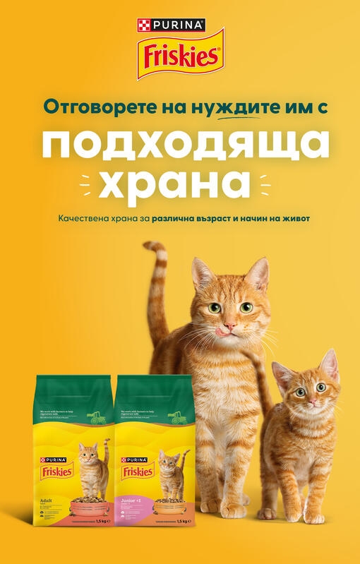friskies cat