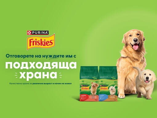 friskies dog