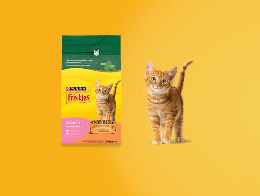 friskies cat