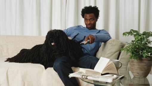 порода унгарско пули