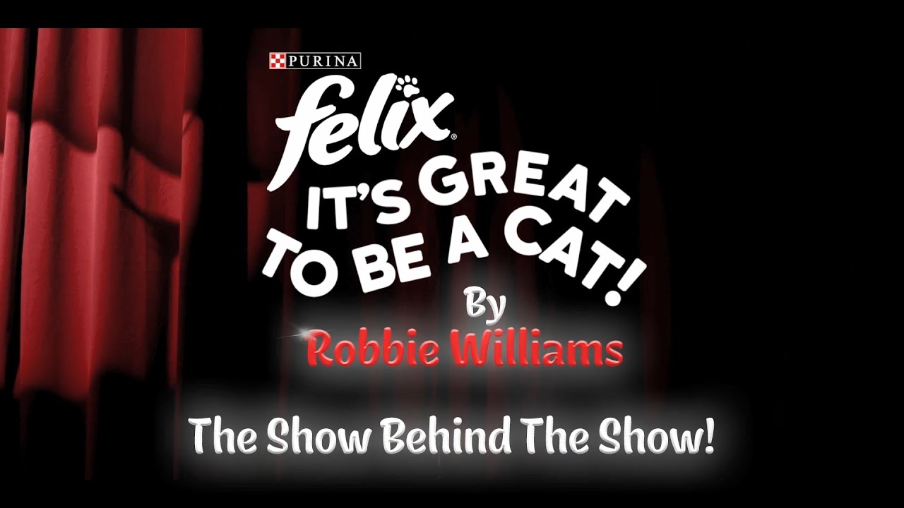 Behind the scenes of Felix #ItsGreatToBeACat, by Robbie Williams